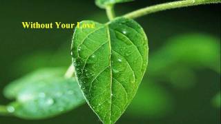 Roger Daltrey  Without Your Love w lyrics [upl. by Keppel414]