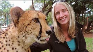 Playing With a Three Legged Cheetah [upl. by Lise954]