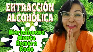 Extracción alcohólica rápida Plantas medicinales útiles en doloresMaceración sencilla y fácil [upl. by Kampmeier]