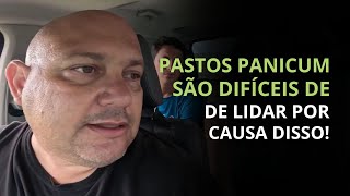 PASTOS DE PANICUM SÃƒO DIFICÃ‰IS DE LIDAR POR CAUSA DISSO  PROF MARCELO COSTA [upl. by Ylellan323]