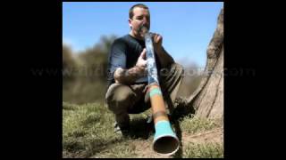 Didgeridoo Sounds [upl. by Daphie]