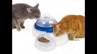 Catit Trinkbrunnen für Katzen und kleine Hunde  zooplus [upl. by Myron994]