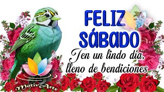 Buenos días Feliz sábado bendiciones🌸 Lindo sabado buenos dias Frases postivas e imagenes bonitas [upl. by Gnilrets]