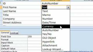 Change Data Types in Access 2007 [upl. by Willis]