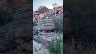 Cederberg Mountains Rock Art [upl. by Parthena]