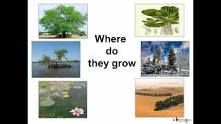 Science  Plant Habitat and adaptation  Telugu [upl. by Gary]