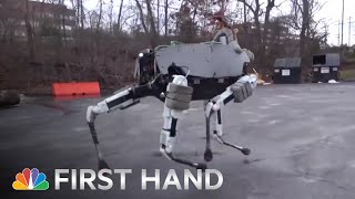 Boston Dynamics Robot Dog Spot Is Terrifyingly Lifelike  NBC News [upl. by Elrod]