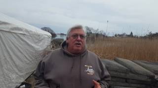 A day on the Oyster Farm work World Oyster Expert Jeffrey Gardner Owner and Founder Watch Hill Oyste [upl. by Einned170]