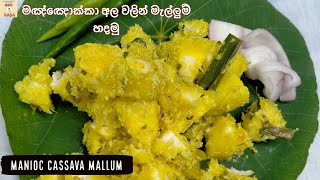 Manioc Mallum  මඤ්ඤොක්කා අල වලින් මැල්ලුම් හදමු Ape Rasa [upl. by Okemak862]