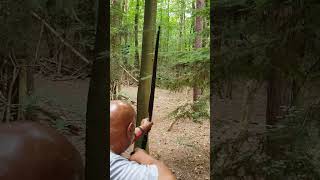 3d Bedded Duiker Target  Pro Kill  Traditional Triangle Hybrid Longbow [upl. by Suillenroc434]