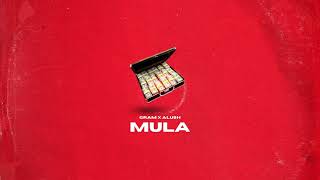 GRAM ft ALUSH  MULA prod by GRAM [upl. by Kcira]