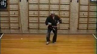 Basis Kobudo 2 Sai Tonfa Katana Shihan Jhonny Bernaschewice [upl. by Willabella]