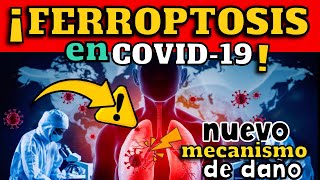 ¡ALERTA  DESCUBREN NUEVO MECANISMO DE DAÑO PULMONAR EN COVID19  FERROPTOSIS [upl. by Donnelly399]