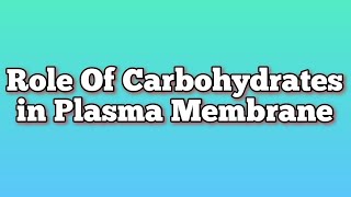 Role of Carbohydrates in Plasma Membrane  Glycoproteins  Glycolipids  Cytology  Cell Biology [upl. by Ahtilat471]