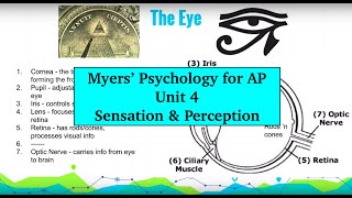 AP Psychology  Myers’ Unit 4 Part 1 [upl. by Levins]