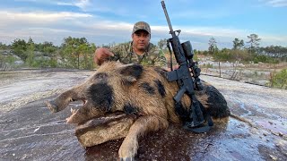 Caza De Puerco Salvaje Gigante En Mina Abandonada [upl. by Ecaidnac529]