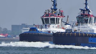 Shipspotting amp Harbour Tour Rotterdam 05 2024 [upl. by Auqinu]