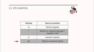 Français  Les articles contractés [upl. by Holds517]