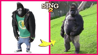 Sing 2 Movie Characters And Their Biggest Fans  Sing 2 In Real Life And Their Other Favorites [upl. by Rodolfo]