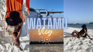 WATAMU VLOG  Exploring Watamu  Temple Point Resort Papa Remo and Lichthaus Watamu [upl. by Redd486]