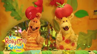 Roly Mo Show – Treasure Hunt  Cartoons for Children  Fimbles amp Roly Mo [upl. by Adnaerb36]