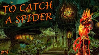 Guild Wars 2 End of Dragons  9  To Catch a Spider [upl. by Leahcam]