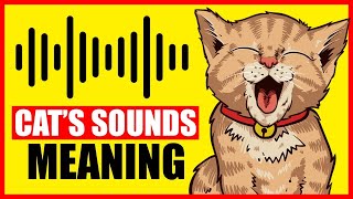 9 Sounds Cats Make And What They Mean [upl. by Epilef]