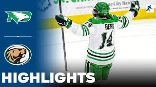 North Dakota vs Bemidji State  NCAA College Hockey  Highlights  November 24 2023 [upl. by Lune]