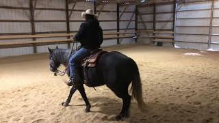 Teaching Your Horse a quotRelaxquot Button [upl. by Cordelie]