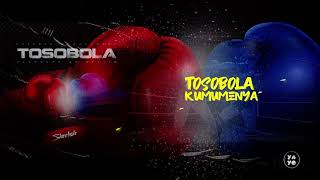 TOSOBOLA  Sheebah Official Lyric Video [upl. by Sloane687]