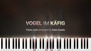 Vogel im Käfig  Synthesia Piano Tutorial [upl. by Vinay206]