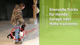 Sinnvolle Tricks für Hunde ► Garage oder Mitte trainieren ► Praxisvideo [upl. by Una]