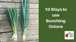 Bunching Onion Tutorial [upl. by Dnalyar194]