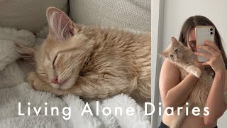 Living Alone Diaries  adopting a kitten vlog [upl. by Arica]