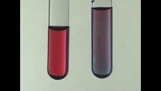 Citrate Synthesis of Gold Nanoparticles [upl. by Ahsieki]