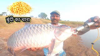 बूंदी लगाकर पकड़े खडशी मछली mahseer fish Varna river fishing [upl. by Ettesoj80]