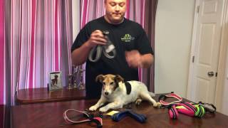 Which Tre Ponti Dog Harness is Right For Your Small Dog [upl. by Yedrahs]