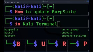 How to update BurpSuite from Kali Linux Terminal [upl. by Now]