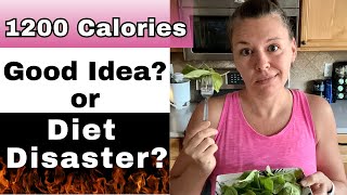 The Truth About Losing Weight on 1200 Calories a Day [upl. by Vivien277]