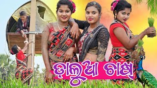 ଡ଼ାଲୁଆ ଚାଷ୍ 🌾 କେନ୍ତା ହେଲା   New Sambalpuri Comedy Video  Recent Viral Video sambalpuricomedy [upl. by Ynney]