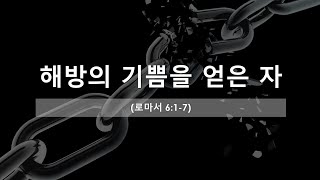 해방의 기쁨을 얻은 자 롬617 [upl. by Nauqad]