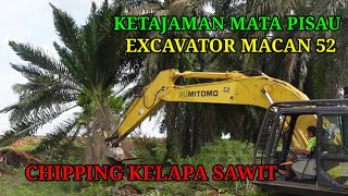 Chipping pohon kelapa sawit di sumbusari  fastest oil palm tree cutter TROPERS01 [upl. by Vanzant]