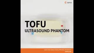 Easy DIY Tofu Ultrasound Phantom [upl. by Noirrad598]