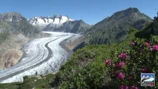 Aletsch Arena Sommer [upl. by Eldwin588]