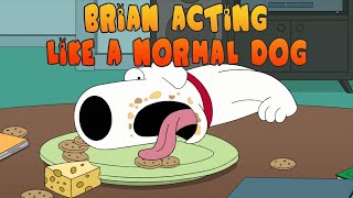 Best of BRIAN being a DOG  Family Guy [upl. by Eilsew]