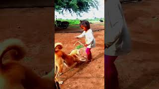 Pappi ka favourite dog 🐶🐕 part 3 shorts short subscribe comedy funny pappi [upl. by Barbabas]