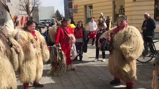 Kurenti v središču mesta [upl. by Ettenrahc]