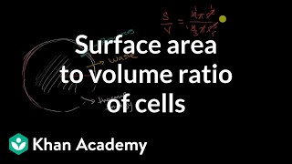 SSC JE 2024  Introduction to Biology  SSC JE General Science Classes by Deepmani Sir  Part 1 [upl. by O'Donnell697]