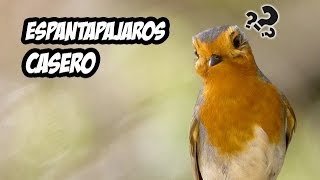 Como hacer un Espantapajaros Casero  La Huerta de Ivan [upl. by Lacombe295]