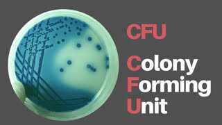 CFU ColonyForming Units [upl. by Yramliw]